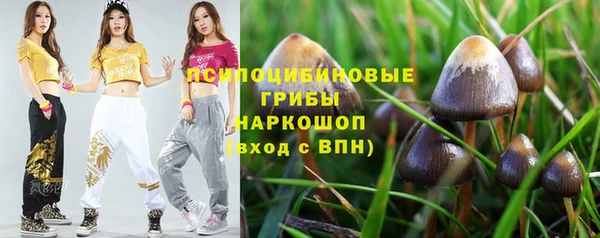 тгк Алзамай