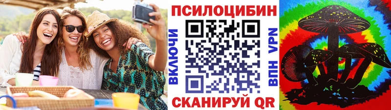 где можно купить наркотик  Новосиль  мега онион  Галлюциногенные грибы мицелий 